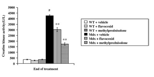 Duchenne's muscular dystrophy